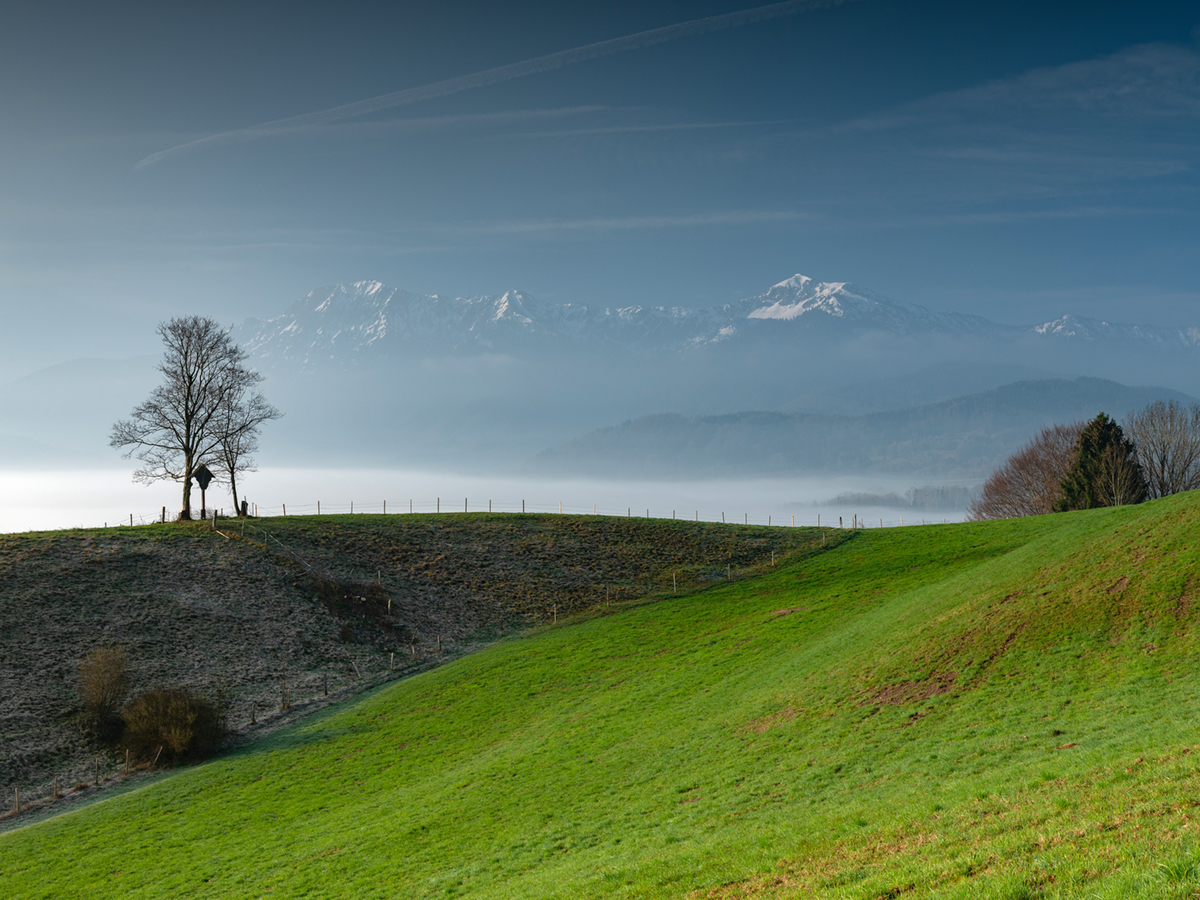 02-grossweil-morgenstimmung-060419-2071